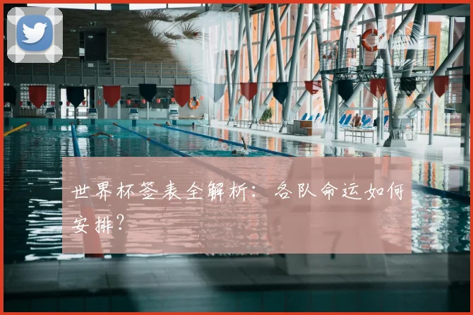 世界杯签表全解析:各队命运如何安排?