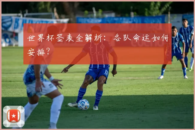 世界杯签表全解析：各队命运如何安排？