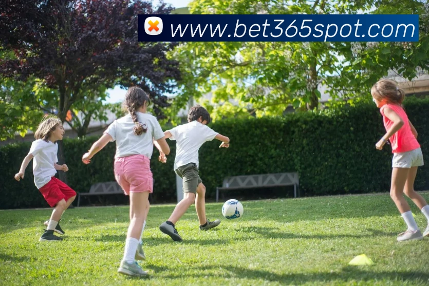 Bet365体育APP 体育赛事宣传图